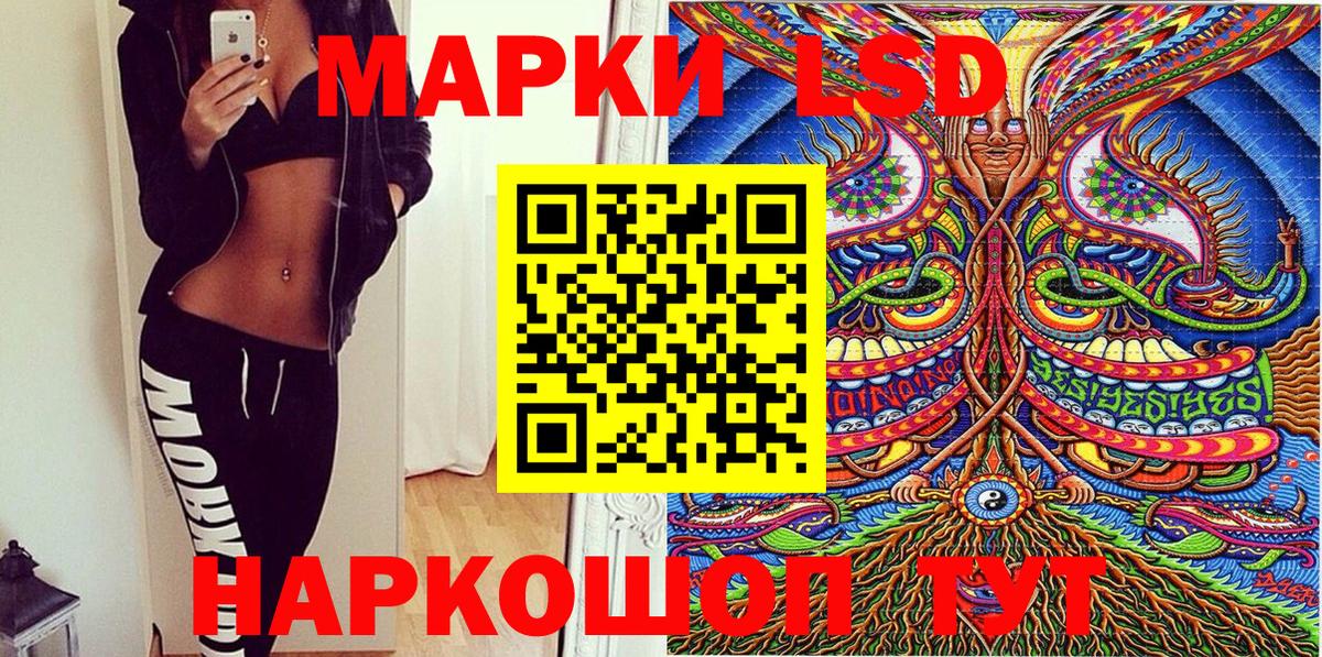 Новошахтинск  Наркотические марки  Вход с VPN  Марки N-bome 1500мкг  Марки N-bome 1500мкг 