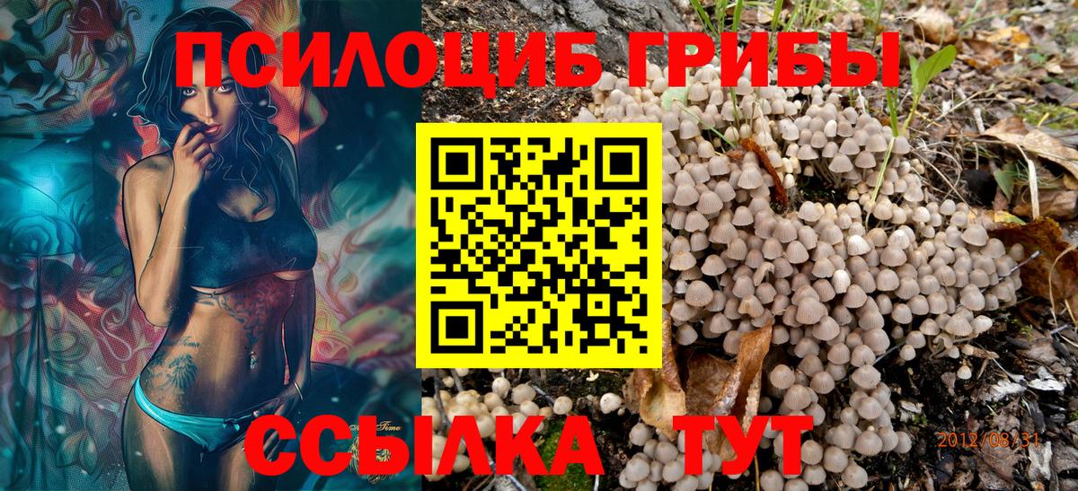 Галлюциногенные грибы ЛСД Новошахтинск
